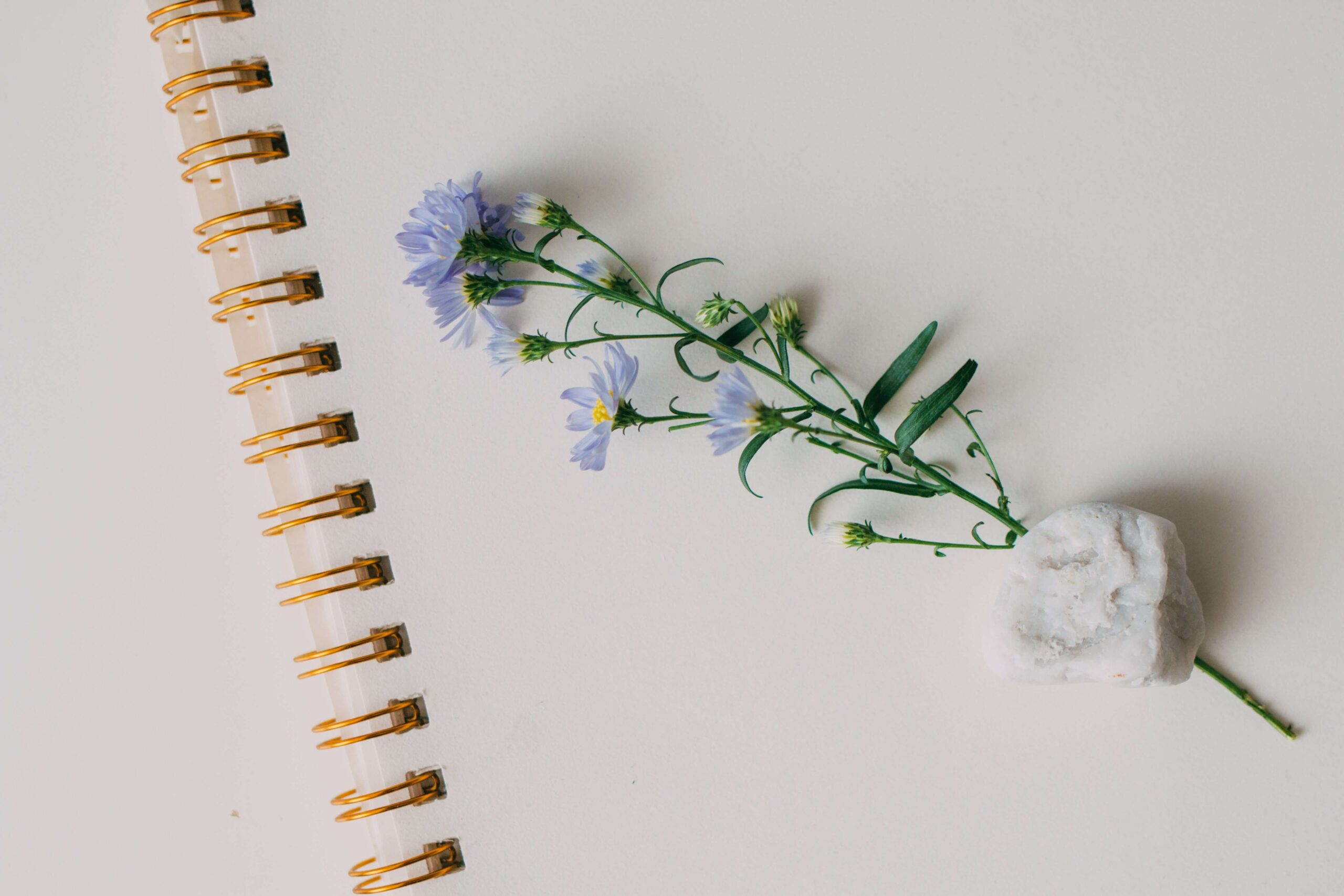 Fountain pen writing